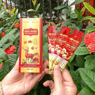 Sâm Nước Đông Trùng Hạ Thảo letco