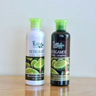 Dầu Gội Xả Sense 360ml (Thùng 48 Chai)