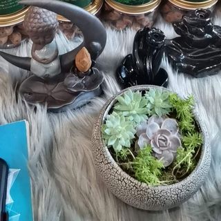 Nụ Trầm Hương Nghệ Nhân Quốc Gia