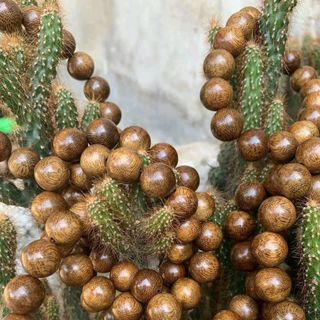 Vòng tay trầm hương hạt tròn đơn