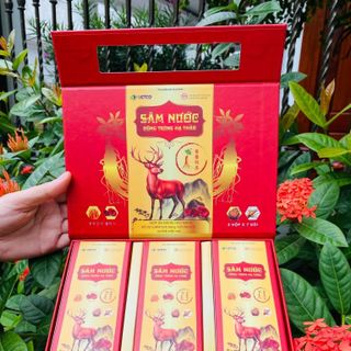 Sâm Nước Đông Trùng Hạ Thảo letco