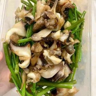 Ruột ốc giấy KHO CHUYÊN SỈ GIÁ TỐT vỉ 500gr