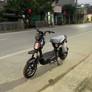 Xbull