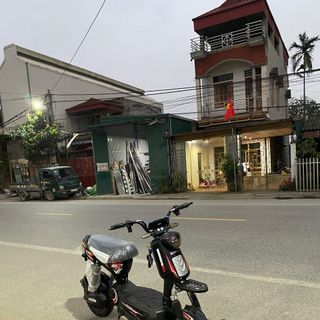 Xbull