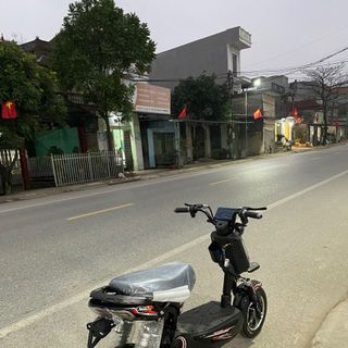Xbull
