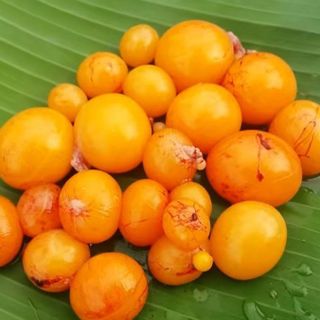 Trứng gà non túi 1KG thơm ngon