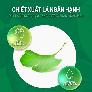 [Boryung] Tinh Chất Cao Bạch Quả Cải Thiện Trí Nhớ Và Tuần Hoàn Máu