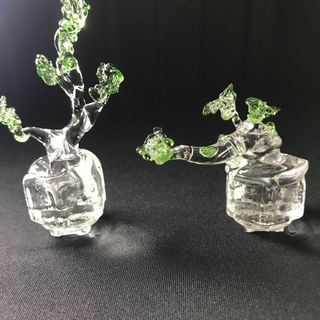 BONSAI MINI