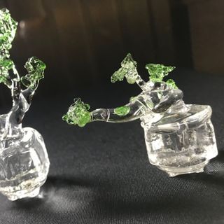 BONSAI MINI
