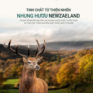 [Donguisam] Viên Nhung Hươu Trầm Hương Cao Cấp Hàn Quốc