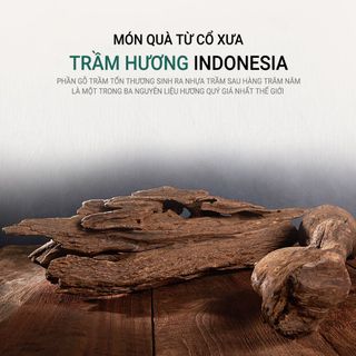 [Donguisam] Viên Nhung Hươu Trầm Hương Cao Cấp Hàn Quốc