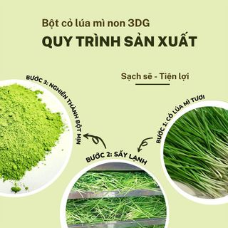 Sỉ Bột cỏ lúa mì non 3DG sấy lạnh Nguyên chất hộp 20 gói x3gam
