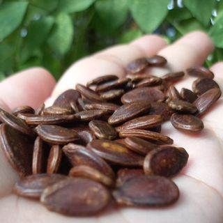 500gr Hạt dưa Việt Nam rang tay không phẩm màu
