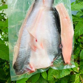 Cá dứa 1 nắng Cần Giờ hút chân 1KG , chất lượng tuyệt hảo Hải sản