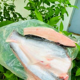 Cá dứa 1 nắng Cần Giờ hút chân 1KG , chất lượng tuyệt hảo Hải sản