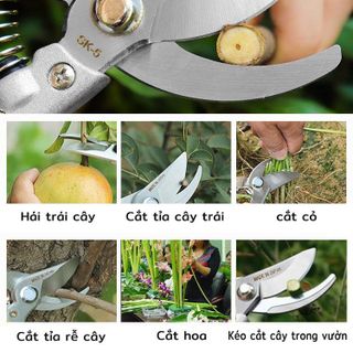 Kéo Cắt Cành