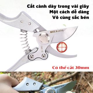 Kéo Cắt Cành