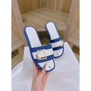 Dép lê bản khóa bạc D30