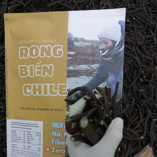 Rong biển Chile tảo ống nhỏ cực tiểu siêu ngon