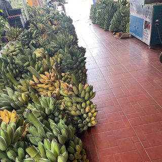 Chuối Sấy Giòn Không Đường