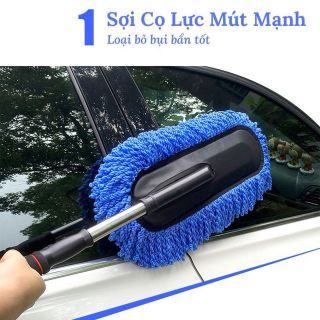 Cây lau bụi ô tô