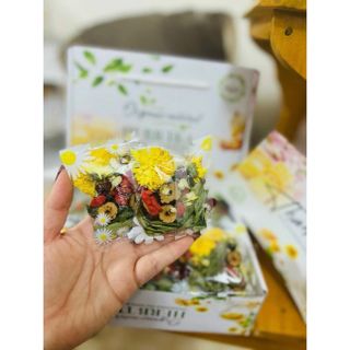 Trà Hoa Thảo Mộc Giải Nhiệt