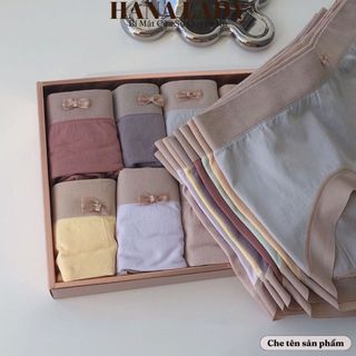 Quần lót nữ - Hộp set 8 quần lót cotton phối màu pastel dễ thương kèm túi QL026