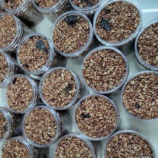 HẠT MILK - THỰC PHẨM SẠCH: TUYỂN DỤNG ĐẠI LÝ - CỘNG TÁC VIÊN