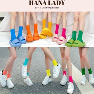 Tất trơn basic cổ cao, set 10 đôi tất nhiều màu cotton mềm mại TV028