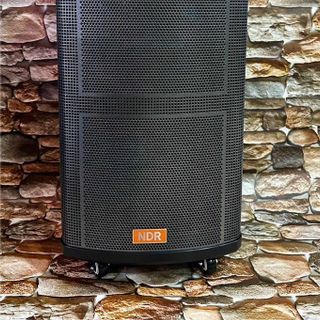 Loa Kéo Di Động NDR-515 (Bass 12", 2 Micro)