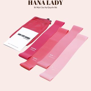 Dây Miniband tập mông đùi , Bộ 4 Dây Hồng Gradient Kèm Túi Cao Su Đàn Hồi Kháng Lực