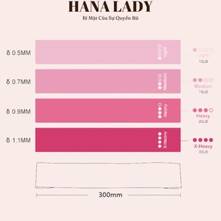 Dây Miniband tập mông đùi , Bộ 4 Dây Hồng Gradient Kèm Túi Cao Su Đàn Hồi Kháng Lực
