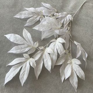 Lá Mẫu đơn đẹp size to phục vụ trang trí