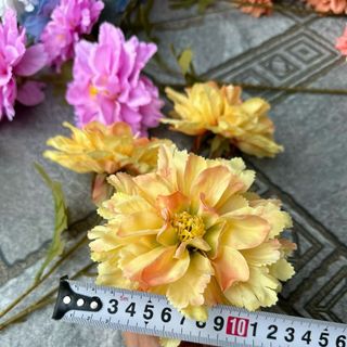 Hoa Phăng size bông lớn