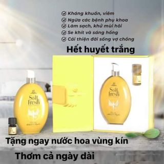 DUNG DỊCH VỆ SINH PHỤ NỮ SOFT FRESH ĐÔNG ANH - SILVER
