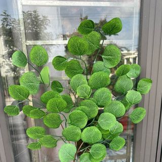 Lá táo Decor