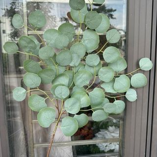 Lá táo Decor