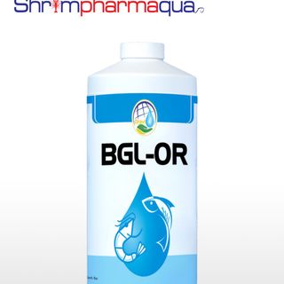 BGL OR - Diệt khuẩn, xử lý môi trường nước ao nuôi giá sỉ