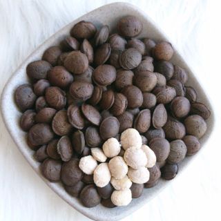 Tuk Green - Cung cấp nguyên liệu Hạt Sachi làm Sữa Hạt chất lượng tại Tây Nguyên