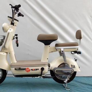 Xe đạp điện,   500W động cơ, Giá nhà máy ( xe trần)