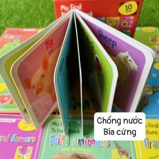 Sách Bìa cứng cán bóng Thư viện hình ảnh My first picture book