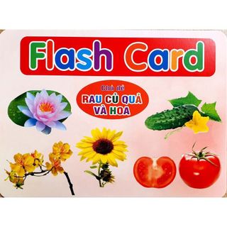 Sách Bộ thẻ học thông minh dạy trẻ về thế giới xung quanh
