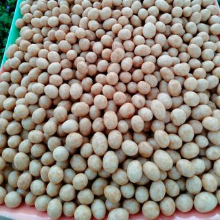 ĐẬU PHỘNG DA CÁ CỐT DỪA LOẠI NGON