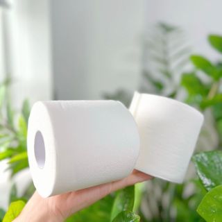 Tìm CTV, Nhà Phân Phối, Đại Lý kinh doanh sản phẩm Giấy Vệ Sinh 2 lớp/ 3 lớp