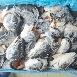 ĐẦU CÁ HỒI NAUY