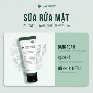 Sữa Rửa Mặt Caryophy Portulaca Cleansing Foam 150ml Chính Hãng