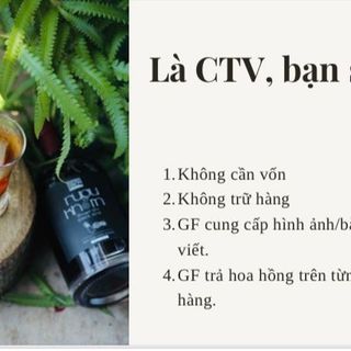 Tìm cộng tác viên rượu khóm Greenfarm
