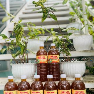 MẬT ONG HOA CÀ PHÊ, ĐẶC SẢN VÙNG CAO 1 LIT - WINNIE HOUSE