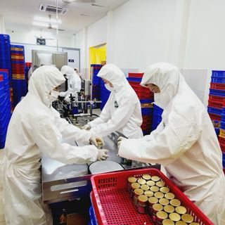 Gia công yến hũ không tem hàm lượng yến cao ko phải hàng rẻ tiền
