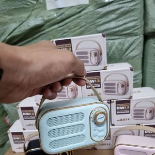 Loa bluetooth DW13 kiểu dáng Radio có quai da